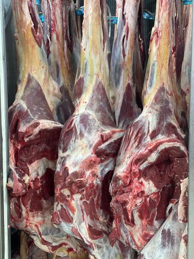 عکس گوشت شتر خیرالسادات