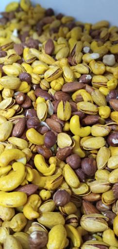 عکس نخلستان فدک