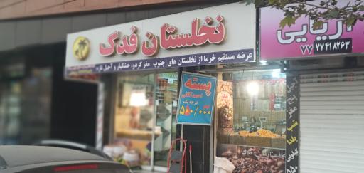 عکس نخلستان فدک