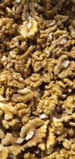 عکس نخلستان فدک