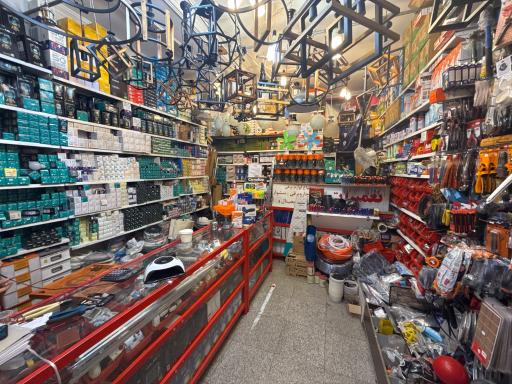 عکس الکتریکی رضا