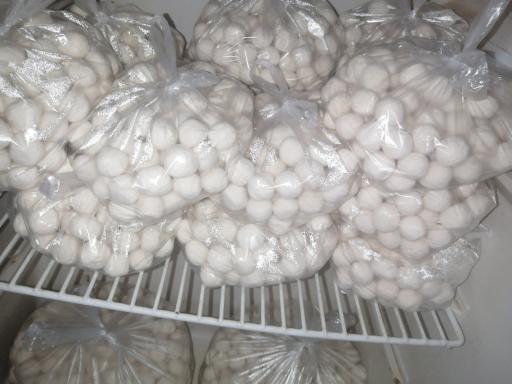 عکس لبنیاتی مترجمی