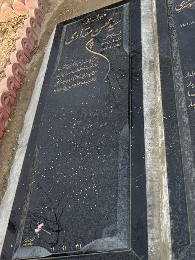 عکس مزار سید محسن مقدادی 