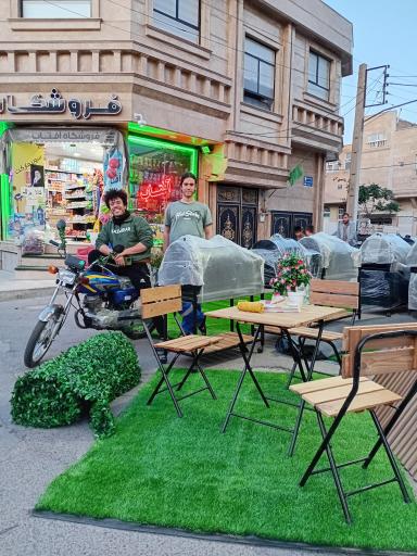 عکس مرد چمنی