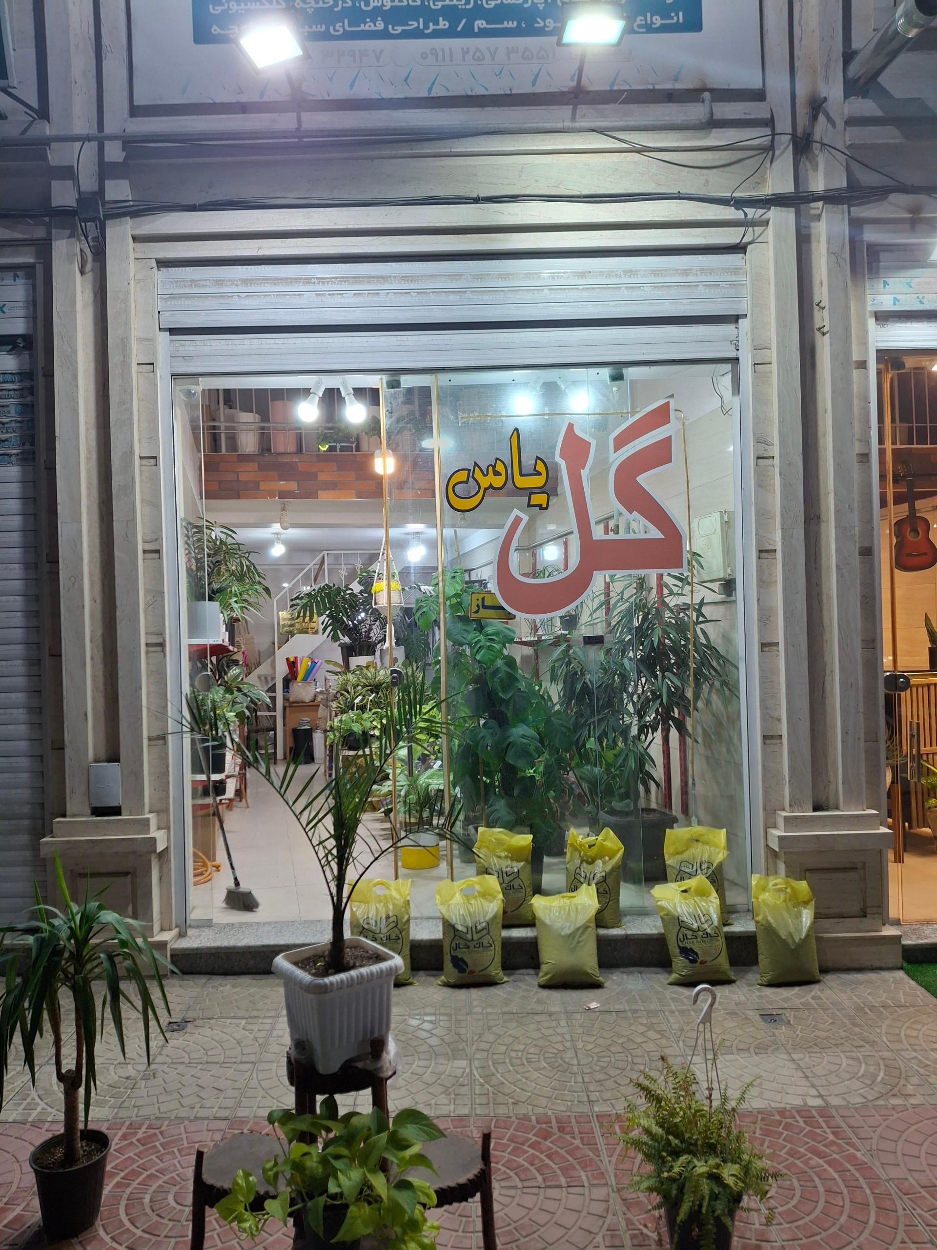 عکس گل فروشی گل یاس