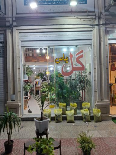 گل فروشی گل یاس