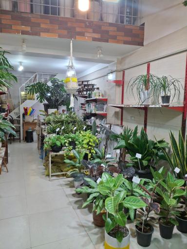 گل فروشی گل یاس