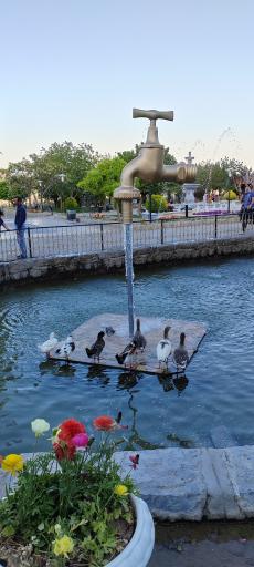 عکس شهربازی صفه