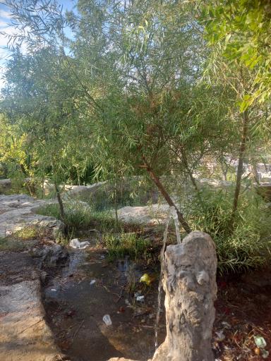 عکس پارک صخره ای