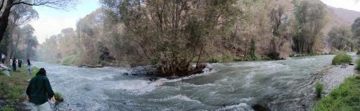 عکس باغ خانوادگی کاردون