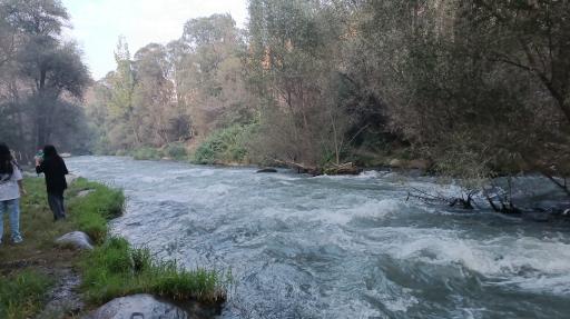 عکس باغ خانوادگی کاردون