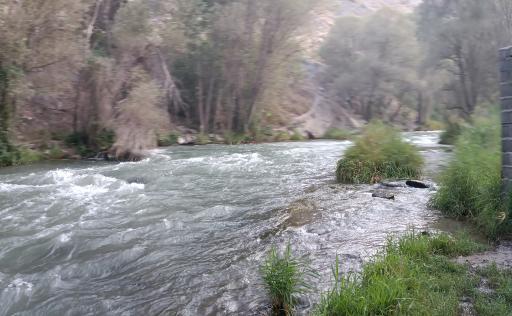 عکس باغ خانوادگی کاردون