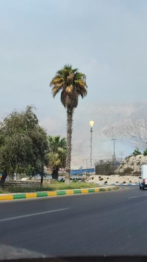 عکس میدان پتروشیمی