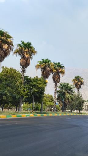 عکس میدان پتروشیمی