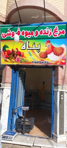 عکس مرغ زنده و میوه فروشی پناه