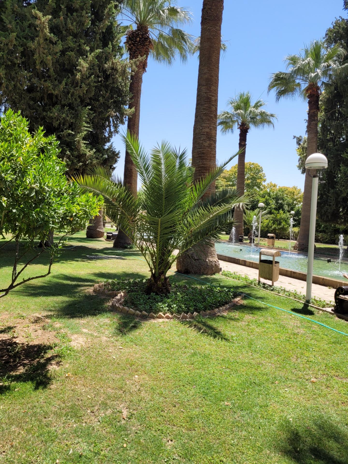 عکس پارکینگ عمومی