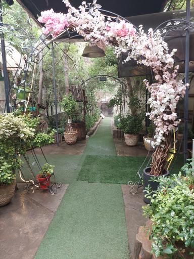 عکس کافه رستوران پاشا