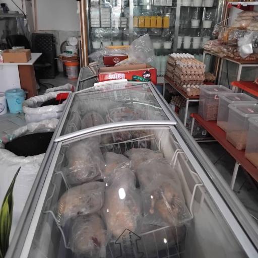 عکس لبنیات محلی ایلیا