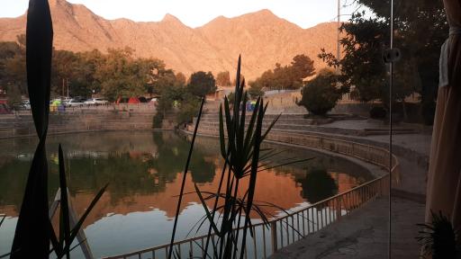 عکس کافه ونیز