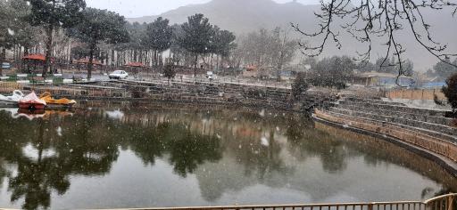 عکس کافه ونیز