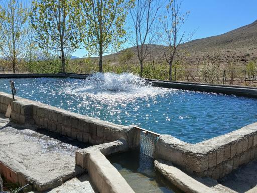 عکس پرورش ماهی قزل‌آلا 