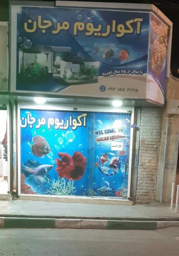 اکواریوم مرجان 