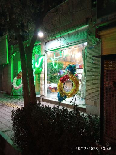 عکس ارشا گل 