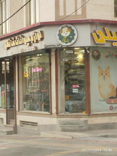 عکس پت شاپ بیلی