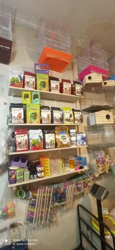 عکس پخش دان پرندگان صدرا