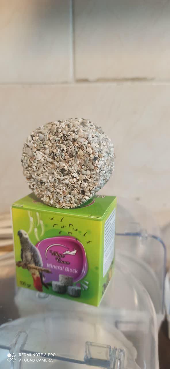 عکس پخش دان پرندگان صدرا