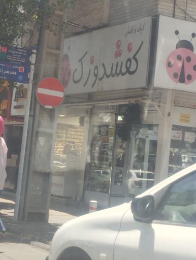 کیف و کفش کفشدوزک