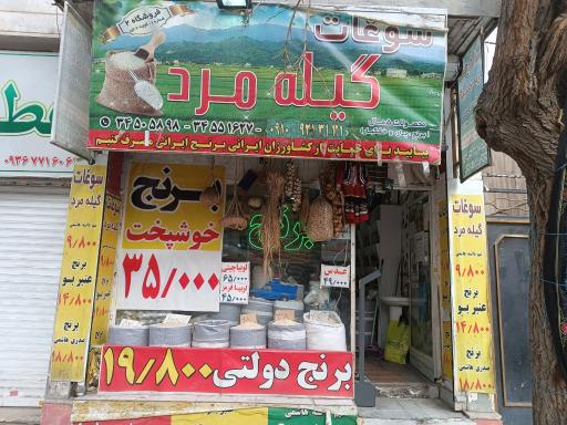 برنج گیله مرد