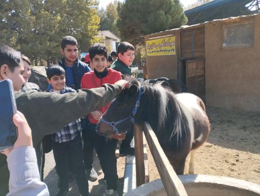 عکس مجموعه سوارکاری و کارتینگ ارشاد