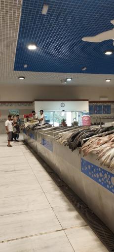 عکس بازار ماهی کیش