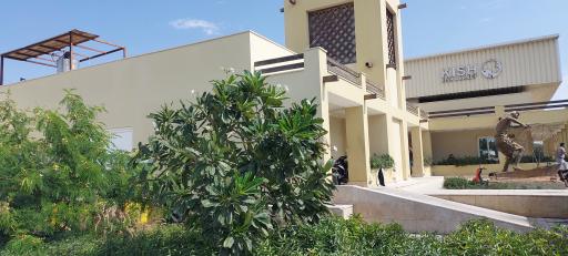 عکس بازار ماهی کیش