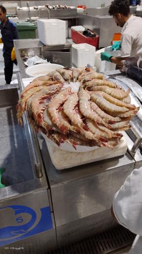 بازار ماهی کیش