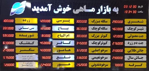 عکس بازار ماهی کیش