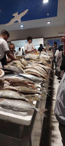 بازار ماهی کیش