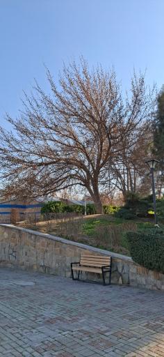 عکس بوستان وحدت