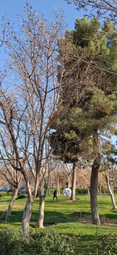 عکس بوستان وحدت