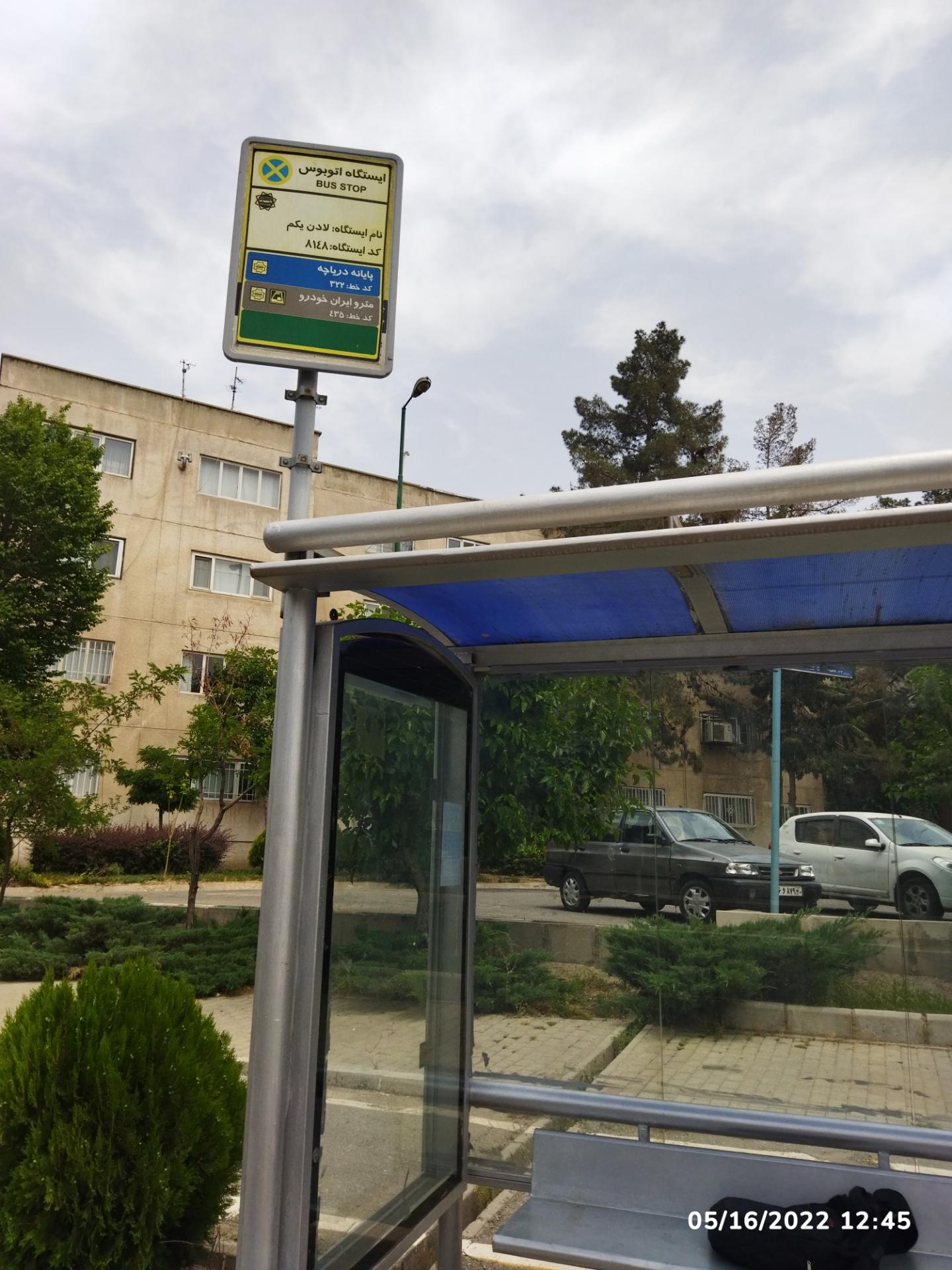 عکس لادن یکم