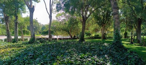 عکس بوستان وحدت