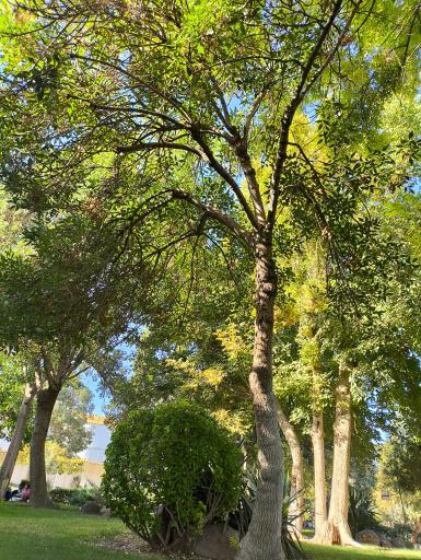 عکس بوستان وحدت