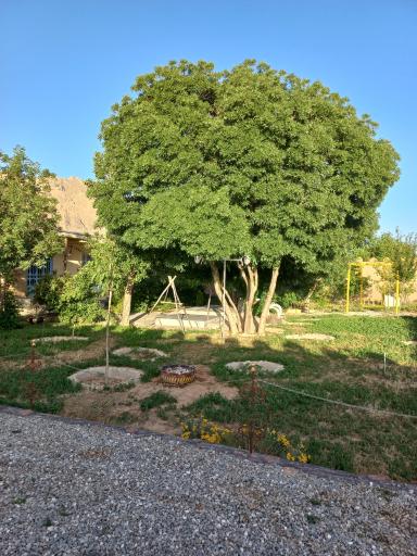 عکس اقامتگاه بومگردی آلاله سفید تالاب