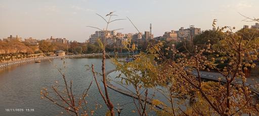 عکس بوستان وحدت