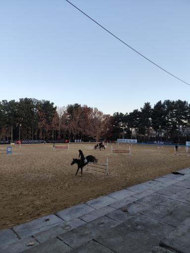 عکس مجموعه سوارکاری و کارتینگ ارشاد