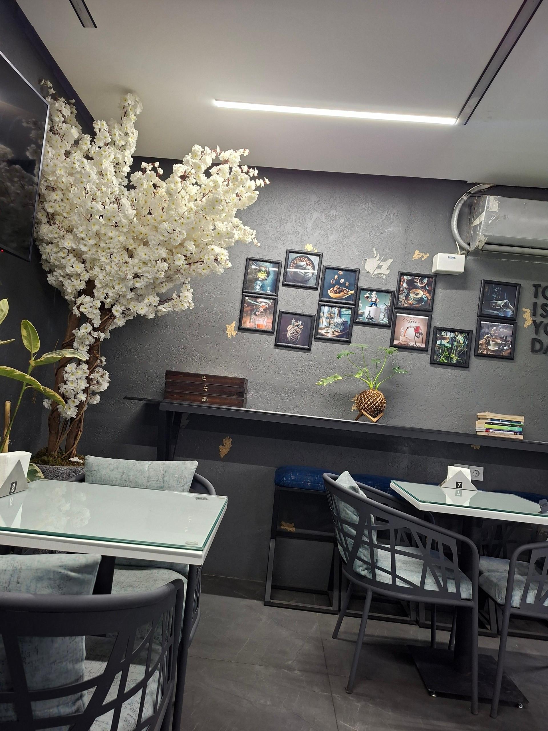 عکس کافه فنجان