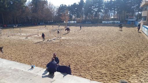 عکس مجموعه سوارکاری و کارتینگ ارشاد