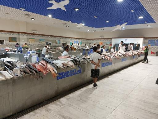 عکس بازار ماهی کیش