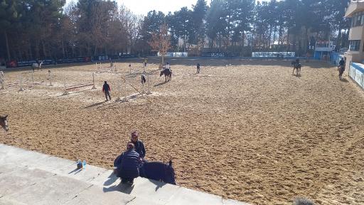 عکس مجموعه سوارکاری و کارتینگ ارشاد